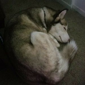 Meet your Posher, Katrina